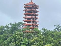 -缙云山景区