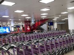 -厦门高崎国际机场-T3航站楼