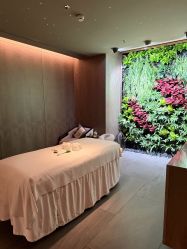 点击看大图 -VELEE·SPA高定疗愈会所