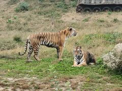 -沈阳森林动物园