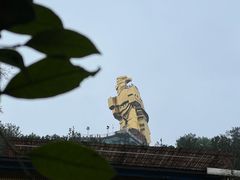 -大金鹰园