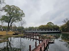 -苏州金鸡湖大酒店