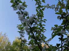 -共青国家森林公园-售票处