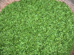 -龙坞茶村