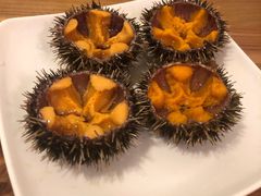 -海胆小馆(东北水饺·春柳店)