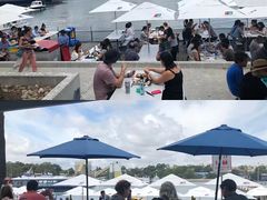-悉尼鱼市场
