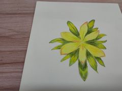 -八哥美术·成人美术画室(总校区)