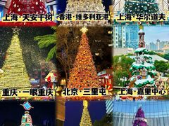 -上海外滩华尔道夫酒店