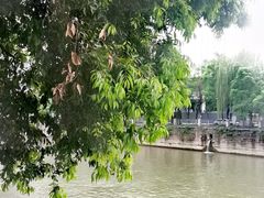 -成都市活水公园