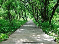 -白草畔自然风景区