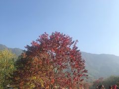 -塔川景区