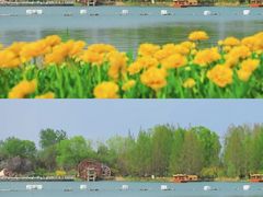 -北京国际鲜花港