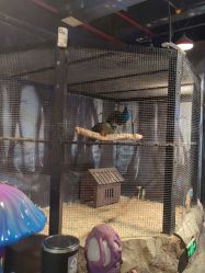 -酷嗒动物文化乐园(cutezoo西溪乐天城店)