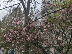 -金城公园
