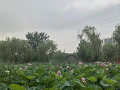 -太阳宫公园