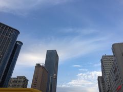 -严厨老坛酸菜鱼(张掖路店)