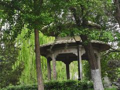-玲珑塔公园