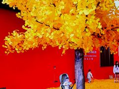 -长沙文和友(海信广场店)