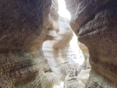 -黎坪国家森林公园