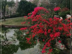 -广州莲花山旅游区