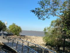 -吴淞炮台湾湿地森林公园烧烤区