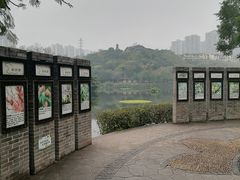 -重庆彩云湖湿地公园