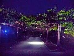 -汇龙潭