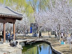 -三里河公园
