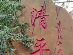 -清平中药材专业市场