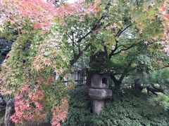 -京都御所