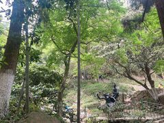 -莫干山风景区