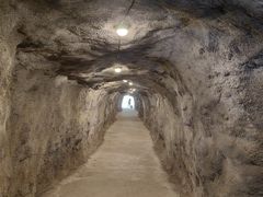 -马口生态公园
