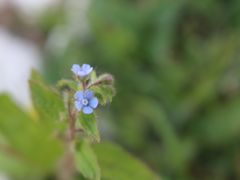 -艾溪湖湿地公园