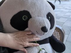 -眉州东坡(翠微印象城店)