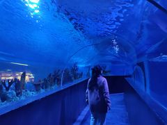 -成都浩海立方海洋公园