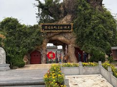 -大槐树寻根祭祖园