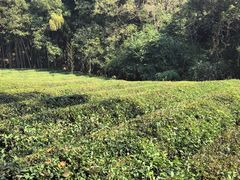 -敬亭山风景名胜区