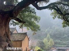-杨家堂村