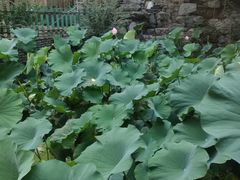 -元大都城垣遗址公园