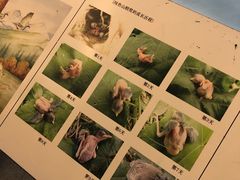 -浙江省科技馆