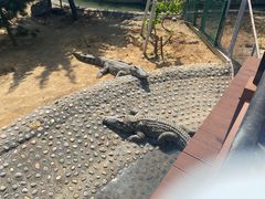 -石家庄市动物园