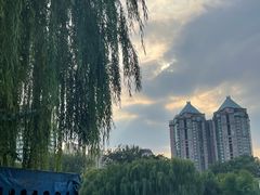 -团结湖公园