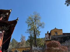 -九华山风景区