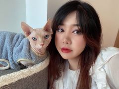 -猫腻·猫咖·撸猫馆(星光大道店)