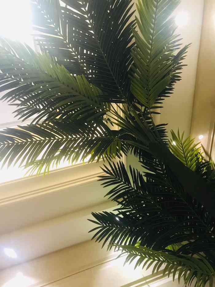 高深会馆-"大连洗浴溜一圈最后还是回归高深环境旧."-大众点评移动版