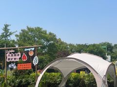 -洪湖家庭农场·团建·露营·会议