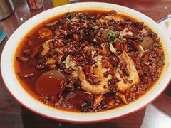 -邵年鸽(杨庄店)