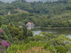 -深圳仙湖植物园