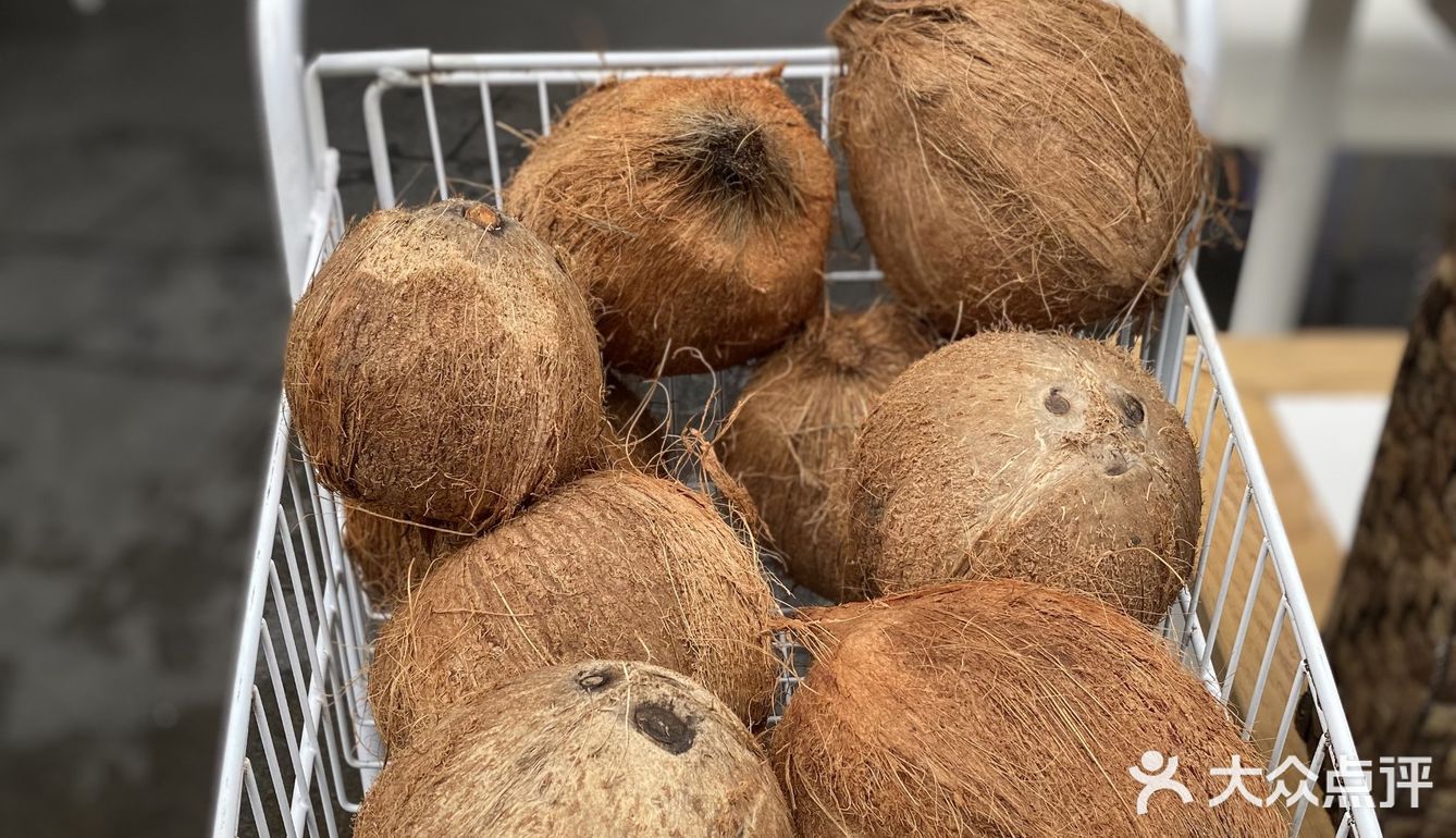 [糖果]万物皆可椰