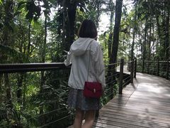 -热带雨林自然公园
